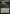 Vault of Whispers [Warhammer 40,000] - Magic: The Gathering - Card Brawlers | Quebec | Canada |