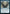 Vesuvan Duplimancy [Dominaria United Prerelease Promos] - Magic: The Gathering - Card Brawlers | Quebec | Canada |