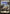 Plains (251) (Full Art) [Battle for Zendikar] - Magic: The Gathering - Card Brawlers | Quebec | Canada |