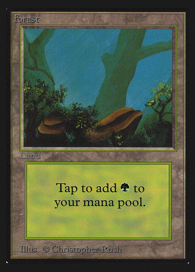 Forest (Two Stones) [International Collectors' Edition] - Magic: The Gathering - Card Brawlers | Quebec | Canada |
