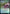 Topiary Stomper [Streets of New Capenna Prerelease Promos] - Magic: The Gathering - Card Brawlers | Quebec | Canada |