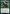 Vorinclex, Monstrous Raider (Promo Pack) [Kaldheim Promos] - Magic: The Gathering - Card Brawlers | Quebec | Canada |