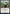 Rumor Gatherer [Streets of New Capenna] - Magic: The Gathering - Card Brawlers | Quebec | Canada |