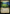 Twists and Turns // Mycoid Maze [The Lost Caverns of Ixalan] - Magic: The Gathering - Card Brawlers | Quebec | Canada |
