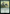 Overwhelm [Ravnica Remastered] - Magic: The Gathering - Card Brawlers | Quebec | Canada |