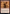 Dragon Mage [Game Night: Free-for-All] - Magic: The Gathering - Card Brawlers | Quebec | Canada |