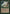 Treetop Defense [Portal] - Magic: The Gathering - Card Brawlers | Quebec | Canada |