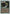 Serendib Efreet [Revised Edition] - Magic: The Gathering - Card Brawlers | Quebec | Canada |