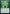 Verdant Mastery [Strixhaven: School of Mages Prerelease Promos] - Magic: The Gathering - Card Brawlers | Quebec | Canada |