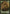 Saproling Token [Return to Ravnica Tokens] - Magic: The Gathering - Card Brawlers | Quebec | Canada |