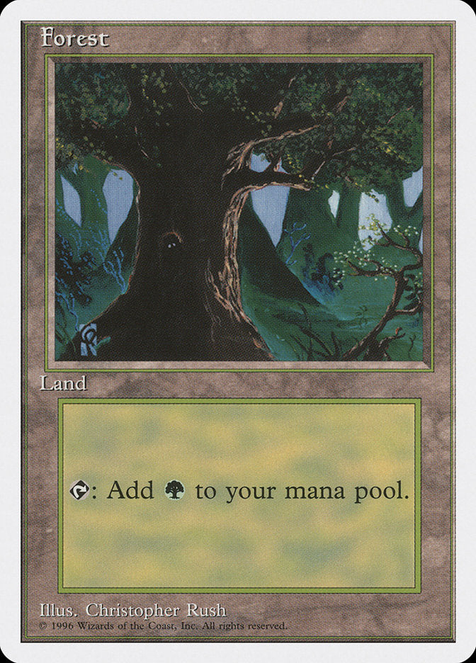 Forest (Creature in Tree Hole) [Introductory Two-Player Set] - Magic: The Gathering - Card Brawlers | Quebec | Canada |
