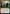 Dire-Strain Rampage (Promo Pack) [Innistrad: Midnight Hunt Promos] - Magic: The Gathering - Card Brawlers | Quebec | Canada |