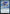 Vivid Flying Fish [Global Series Jiang Yanggu & Mu Yanling] - Magic: The Gathering - Card Brawlers | Quebec | Canada |