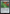 Fishing Pole [Foundations] - Card Brawlers