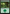 Forest (0281) [Foundations] - Card Brawlers