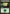 Forest (152) [Planechase 2012] - Card Brawlers