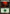 Forest (153) [Planechase 2012] - Card Brawlers