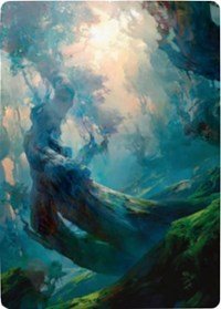 Forest 3 Art Card [Zendikar Rising Art Series] - Card Brawlers