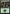 Forest (384) [Zendikar Rising] - Card Brawlers