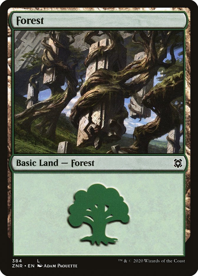 Forest (384) [Zendikar Rising] - Card Brawlers