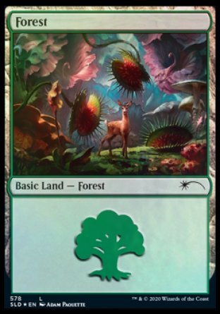 Forest (Predatory) (578) [Secret Lair Drop Promos] - Card Brawlers