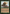 Gamekeeper [The List] - Card Brawlers