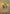 Gandalf, Goblins' Bane (Borderless) (Surge Foil) (HOB-278) - The Hobbit Foil - Card Brawlers