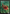 Gigantosaurus (Full Art) [Foundations] - Card Brawlers