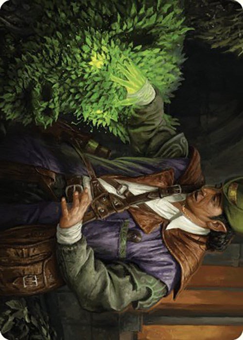Hedge Whisperer Art Card [Murders at Karlov Manor Art Series] - Card Brawlers