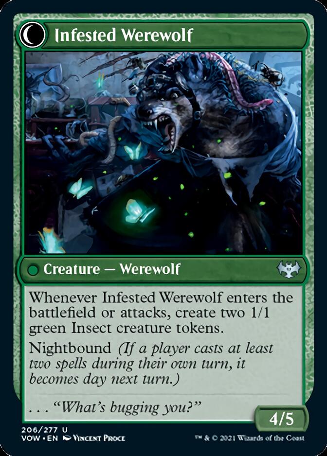 Infestation Expert // Infested Werewolf [Innistrad: Crimson Vow] - Card Brawlers