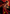 Infuriate Art Card (Gold - Stamped Signature) [Strixhaven: School of Mages Art Series] - Card Brawlers