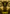 Inquisition of Kozilek Art Card (Gold - Stamped Signature) [Strixhaven: School of Mages Art Series] - Card Brawlers