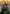 Introduction to Prophecy Art Card (Gold - Stamped Signature) [Strixhaven: School of Mages Art Series] - Card Brawlers