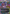 Jennika, Bad Apple Big Sister (Borderless) (TMT-203) - Teenage Mutant Ninja Turtles (Borderless) - Card Brawlers