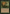 Jungle Lion [The List] - Card Brawlers