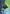 Malamet Veteran Art Card [The Lost Caverns of Ixalan Art Series] - Card Brawlers