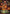 Malicious, Mean, and Scary (Enchanted) (231/204) [Whispers in the Well] - Card Brawlers