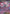 Mega Diancie ex (041/094) [Mega Evolution: Phantasmal Flames] - Card Brawlers