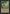Mobilize [The List] - Card Brawlers