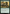 Mold Adder [Foundations] - Card Brawlers