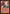 Molten Rain (Timeshifted) [Time Spiral Remastered] - Card Brawlers