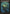 Nameless Inversion [Magic Player Rewards 2009] - Card Brawlers