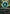 Overgrown Farmland (Borderless) (FRA-399) - Reality Fracture - Card Brawlers