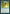 Pemmin's Aura [The List] - Card Brawlers