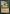 Phantom Centaur (2021 Edition) [Mystery Booster] - Card Brawlers