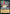 Putting It All Together (196/204) [Whispers in the Well] - Card Brawlers