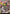Raphael, the Nightwatcher (Showcase) (Fracture Foil) (TMT-297) - Teenage Mutant Ninja Turtles Foil - Card Brawlers