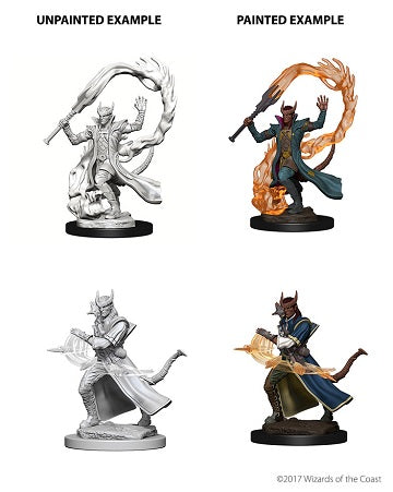 DND Unpainted Minis Tiefling Male Sorcerer - Universal Distribution - Card Brawlers | Quebec | Canada |