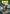 Dragon Shield Matte Non-Glare Sleeves - Forest Green 100ct - Dragon Shield - Card Brawlers | Quebec | Canada |