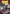 Dragon Shield Matte Non-Glare Sleeves - Blood Red 100ct - Dragon Shield - Card Brawlers | Quebec | Canada |